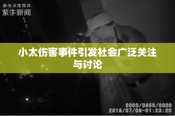 小太伤害事件引发社会广泛关注与讨论