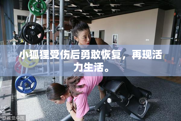小狐狸受伤后勇敢恢复，再现活力生活。