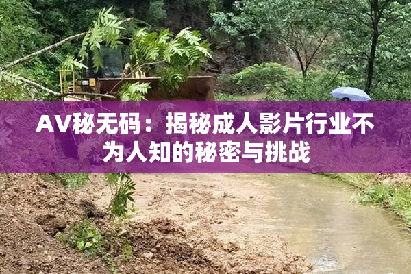 AV秘无码：揭秘成人影片行业不为人知的秘密与挑战