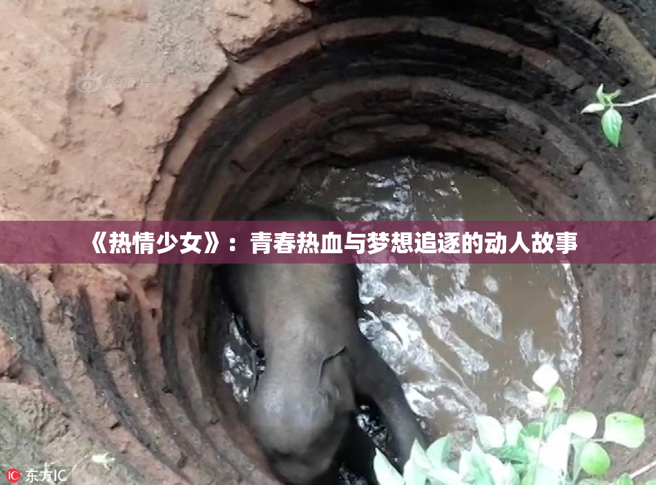 《热情少女》：青春热血与梦想追逐的动人故事