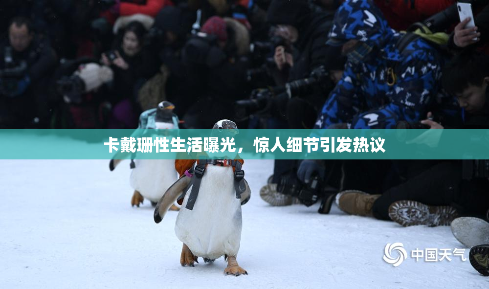 卡戴珊性生活曝光，惊人细节引发热议