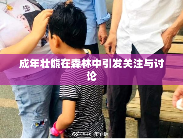 成年壮熊在森林中引发关注与讨论
