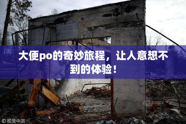 大便po的奇妙旅程，让人意想不到的体验！