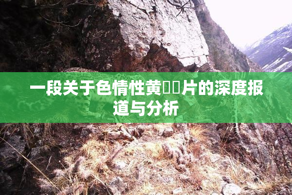 一段关于色情性黄❌‌片的深度报道与分析
