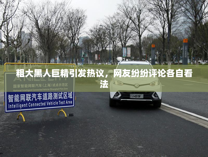 粗大黑人巨精引发热议，网友纷纷评论各自看法