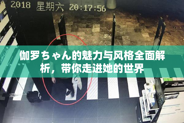 伽罗ちゃん的魅力与风格全面解析，带你走进她的世界
