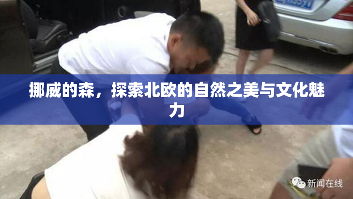 挪威的森，探索北欧的自然之美与文化魅力