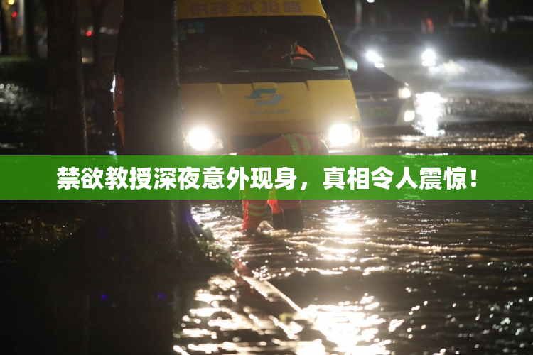 禁欲教授深夜意外现身，真相令人震惊！