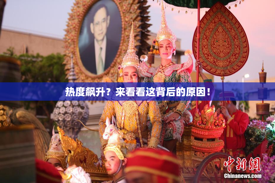 热度飙升？来看看这背后的原因！