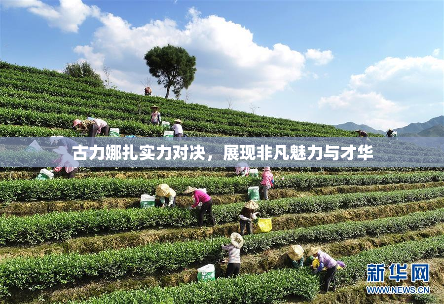 古力娜扎实力对决，展现非凡魅力与才华