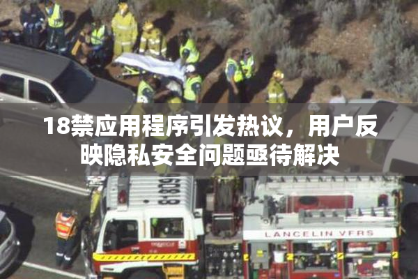 18禁应用程序引发热议，用户反映隐私安全问题亟待解决