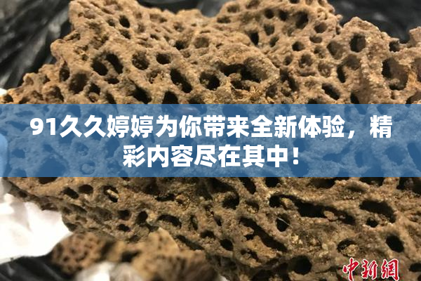 91久久婷婷为你带来全新体验，精彩内容尽在其中！