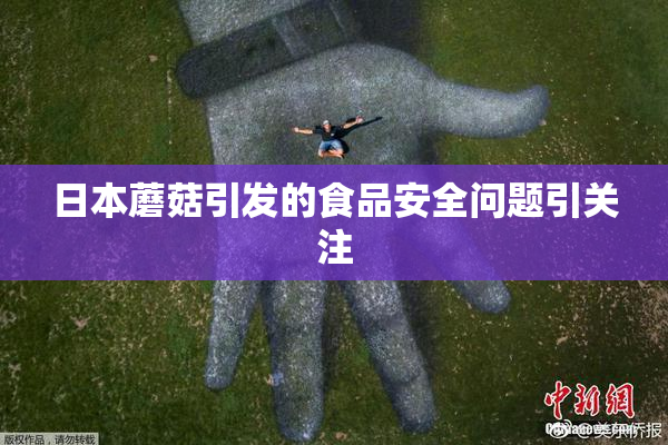 日本蘑菇引发的食品安全问题引关注