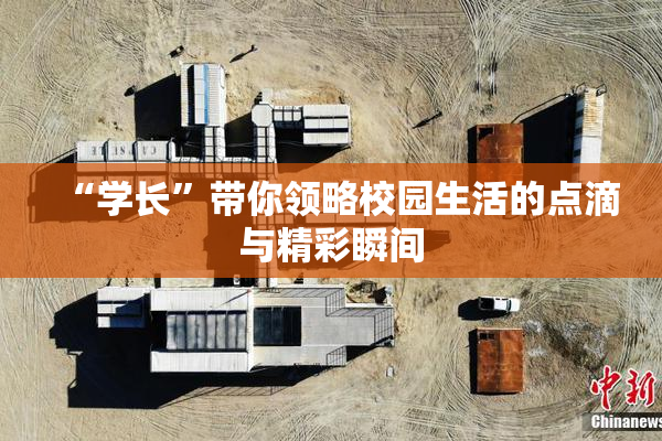 “学长”带你领略校园生活的点滴与精彩瞬间