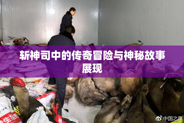 斩神司中的传奇冒险与神秘故事展现