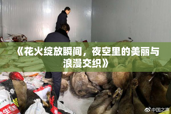 《花火绽放瞬间，夜空里的美丽与浪漫交织》