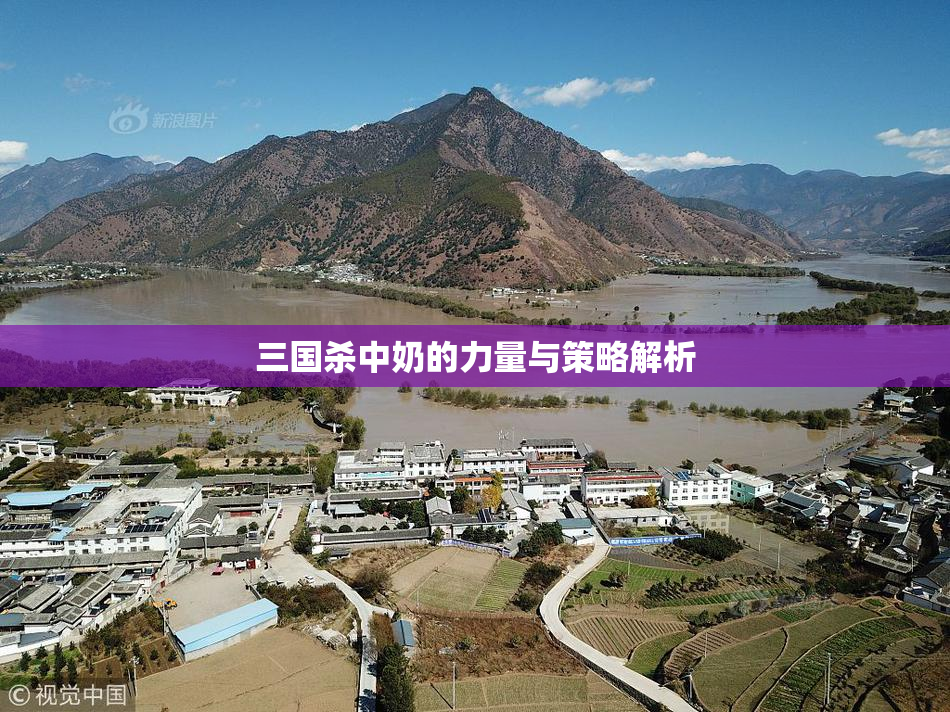 三国杀中奶的力量与策略解析