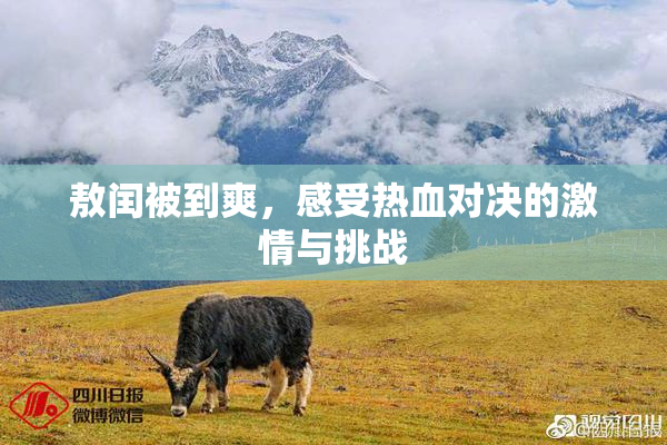 敖闰被到爽，感受热血对决的激情与挑战