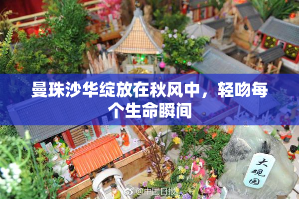 曼珠沙华绽放在秋风中，轻吻每个生命瞬间