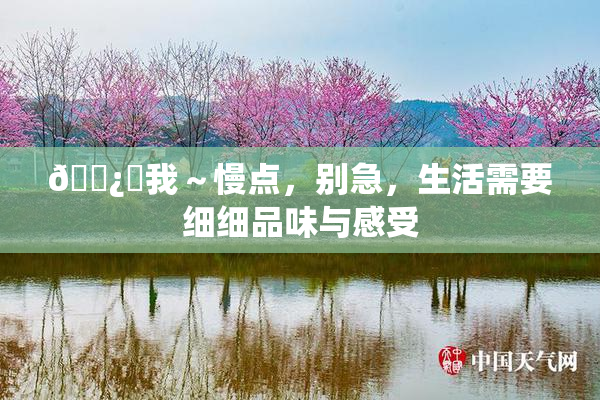 🌿‌我～慢点，别急，生活需要细细品味与感受