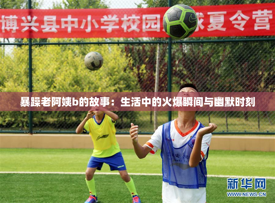 暴躁老阿姨b的故事：生活中的火爆瞬间与幽默时刻