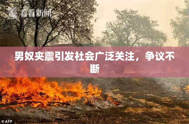 男奴夹震引发社会广泛关注，争议不断