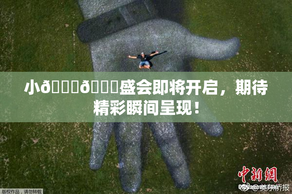 小🐔🐔盛会即将开启，期待精彩瞬间呈现！