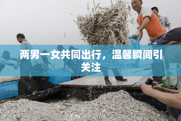 两男一女共同出行，温馨瞬间引关注