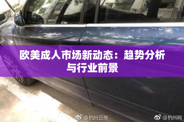 欧美成人市场新动态：趋势分析与行业前景