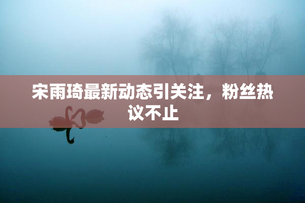 宋雨琦最新动态引关注，粉丝热议不止