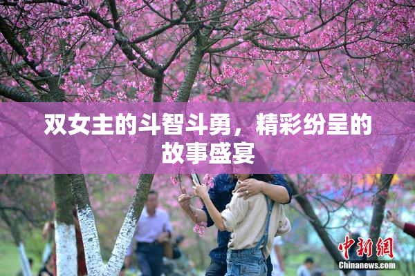 双女主的斗智斗勇，精彩纷呈的故事盛宴