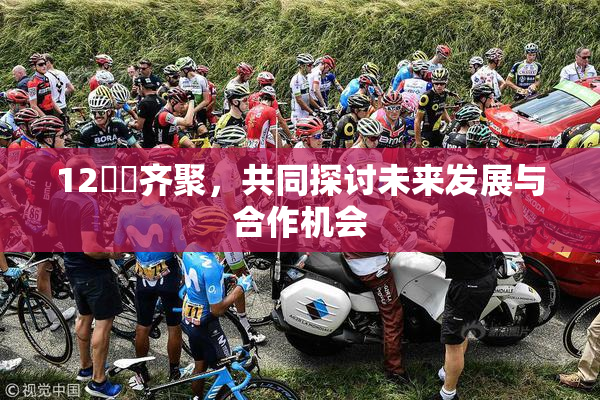 12妺妺齐聚，共同探讨未来发展与合作机会