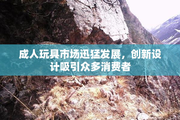 成人玩具市场迅猛发展，创新设计吸引众多消费者