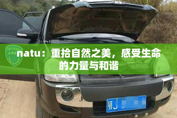 natu：重拾自然之美，感受生命的力量与和谐