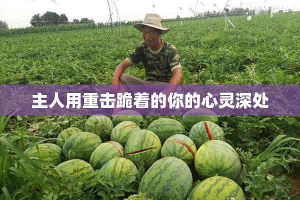 主人用重击跪着的你的心灵深处