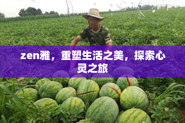 zen雅，重塑生活之美，探索心灵之旅