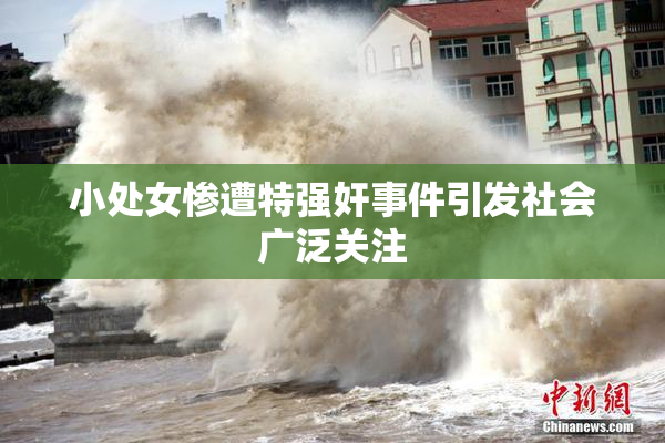 小处女惨遭特强奸事件引发社会广泛关注