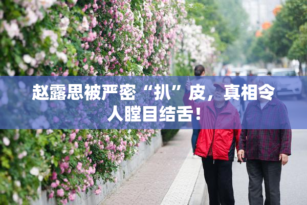 赵露思被严密“扒”皮，真相令人瞠目结舌！