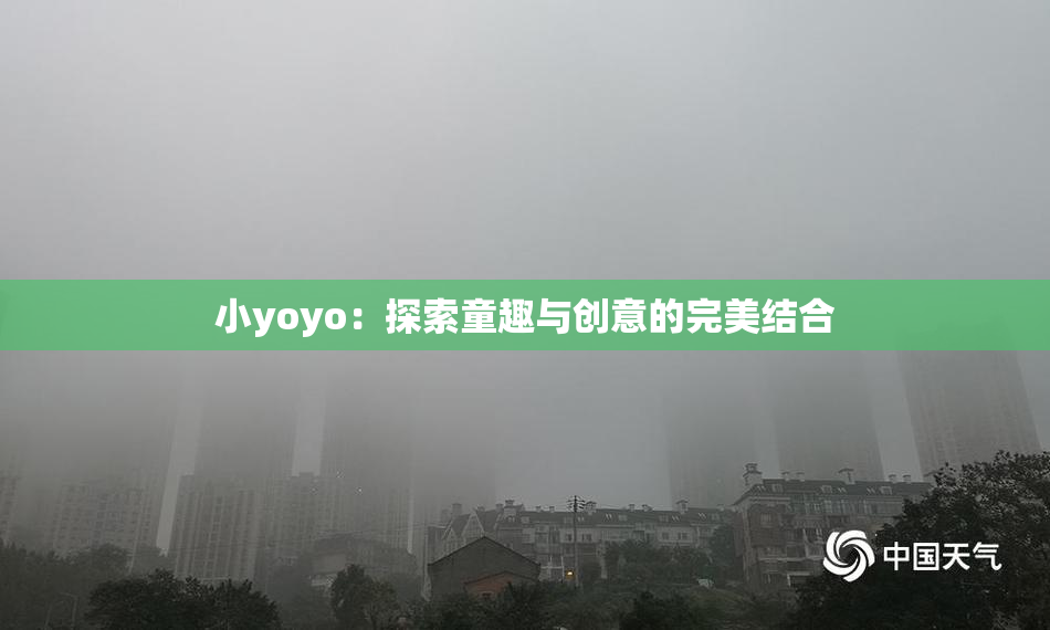 小yoyo：探索童趣与创意的完美结合