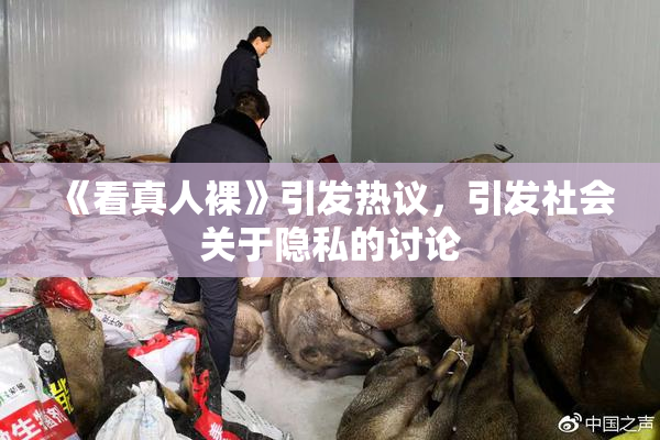 《看真人裸》引发热议，引发社会关于隐私的讨论