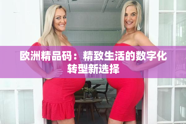 欧洲精品码：精致生活的数字化转型新选择