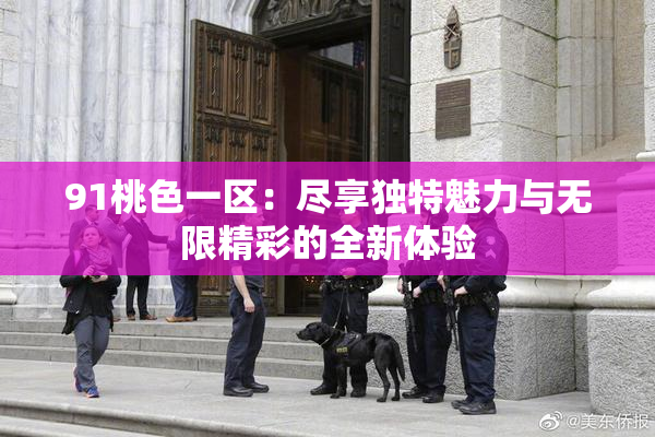 91桃色一区：尽享独特魅力与无限精彩的全新体验