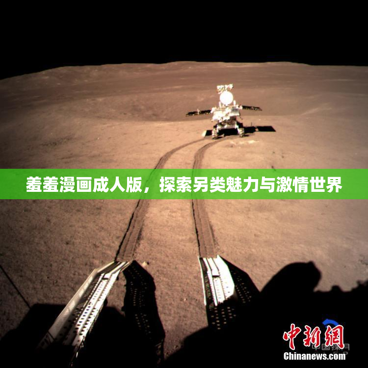 羞羞漫画成人版，探索另类魅力与激情世界