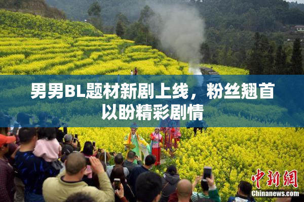 男男BL题材新剧上线，粉丝翘首以盼精彩剧情