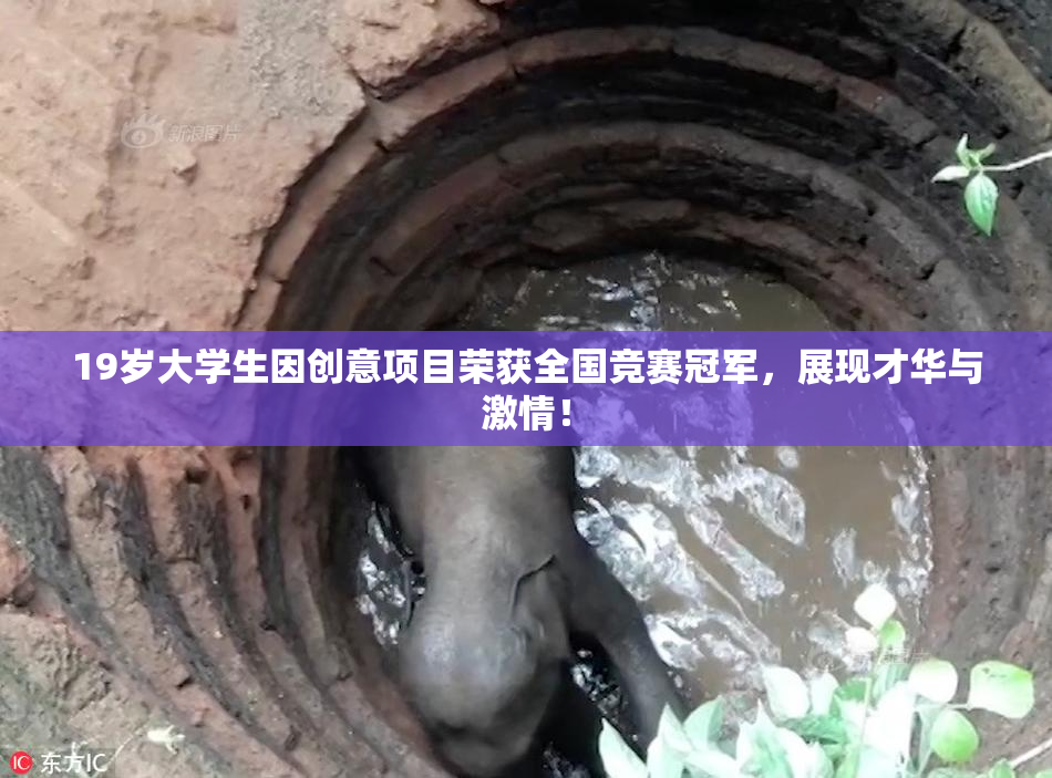 19岁大学生因创意项目荣获全国竞赛冠军，展现才华与激情！