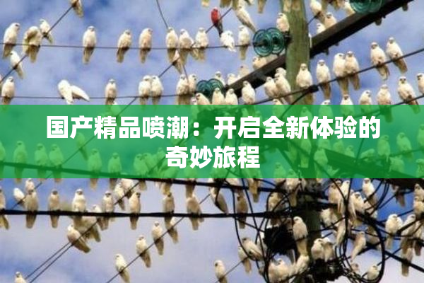 国产精品喷潮：开启全新体验的奇妙旅程