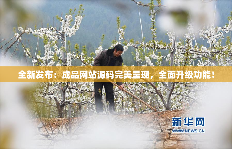 全新发布：成品网站源码完美呈现，全面升级功能！