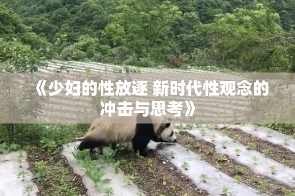 《少妇的性放逐 新时代性观念的冲击与思考》