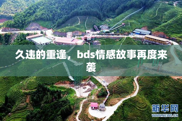 久违的重逢，bds情感故事再度来袭