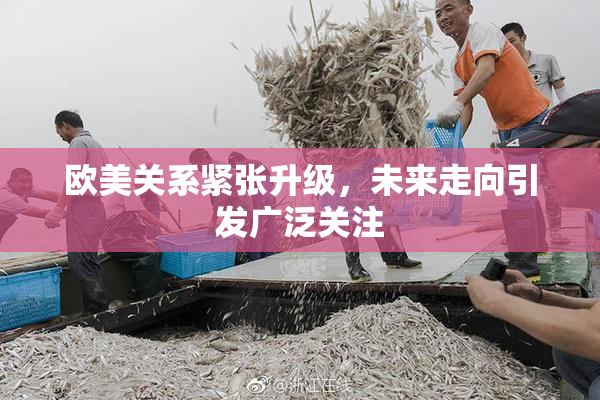 欧美关系紧张升级，未来走向引发广泛关注